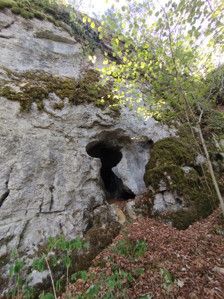 Boussey - Cave Margot - entrée cavité photo 1, Aurélien Bloch.jpg
Fichier manquant